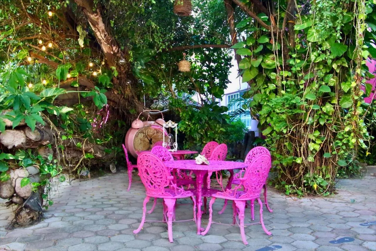 普拉亚卡门 Santuario Playa (Adults Only)酒店 3*,  墨西哥