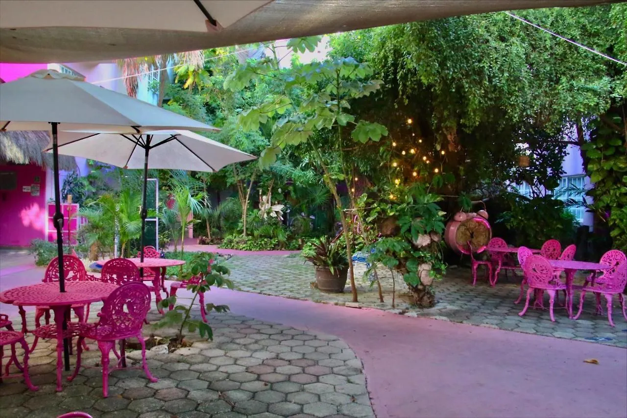 Santuario Playa (Adults Only) Hotel Playa del Carmen Mexikó